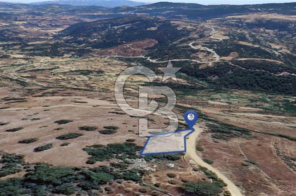 Muğla/Menteşe Çatakbağyakada 929 M2 Satılık Tarla 