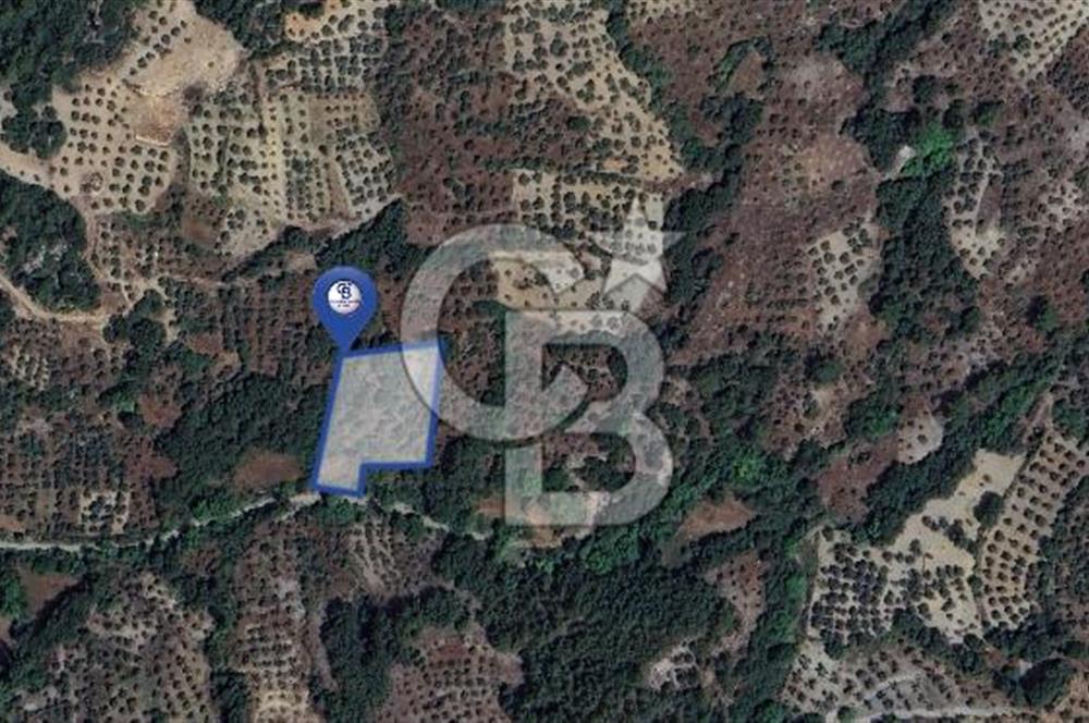 Muğla/Menteşe Denizova Mahallesinde 2874 M2 Satılık Tarla