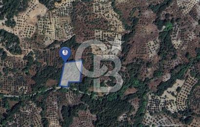 Muğla/Menteşe Denizova Mahallesinde 2874 M2 Satılık Tarla