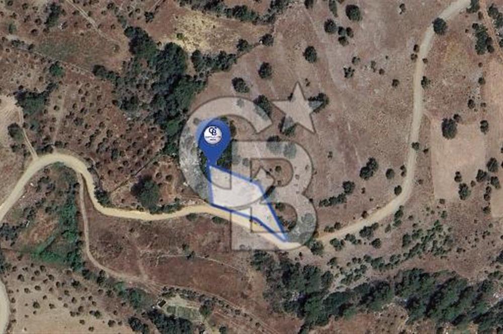 Muğla/Menteşe Çatakbağyakada 929 M2 Satılık Tarla 