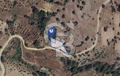 Muğla/Menteşe Çatakbağyakada 929 M2 Satılık Tarla 