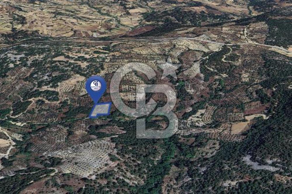 Muğla/Menteşe Denizova Mahallesinde 2874 M2 Satılık Tarla