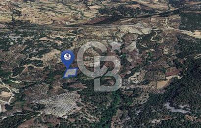 Muğla/Menteşe Denizova Mahallesinde 2874 M2 Satılık Tarla