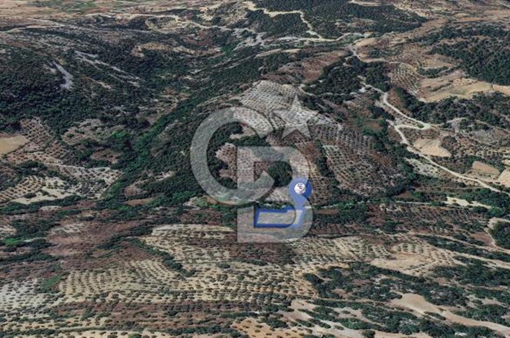 Muğla/Menteşe Denizova Mahallesinde 2874 M2 Satılık Tarla