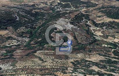 Muğla/Menteşe Denizova Mahallesinde 2874 M2 Satılık Tarla