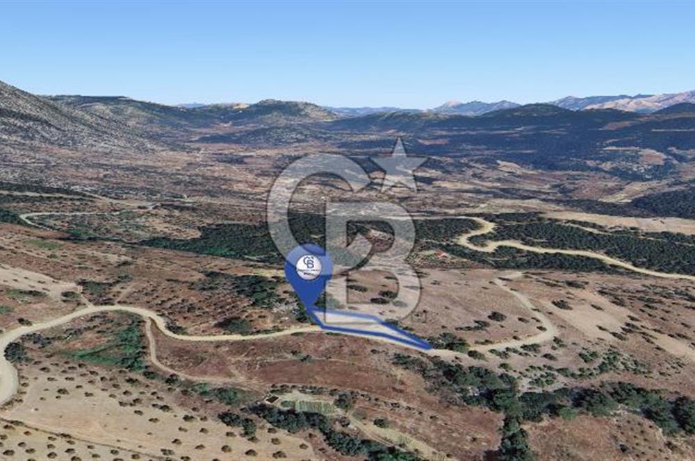 Muğla/Menteşe Çatakbağyakada 929 M2 Satılık Tarla 