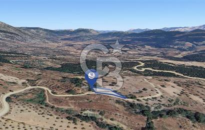 Muğla/Menteşe Çatakbağyakada 929 M2 Satılık Tarla 