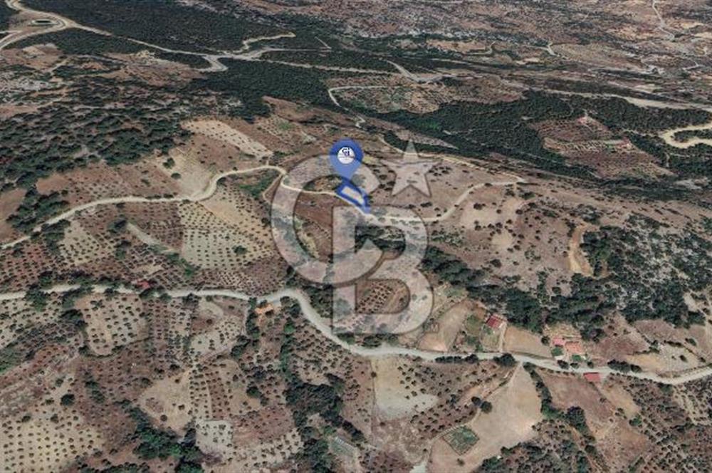 Muğla/Menteşe Çatakbağyakada 929 M2 Satılık Tarla 