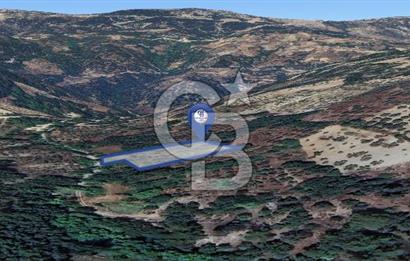 Muğla/Menteşe Denizova Mahallesinde 2874 M2 Satılık Tarla