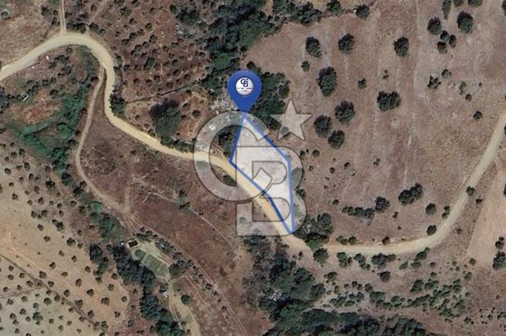 Muğla/Menteşe Çatakbağyakada 929 M2 Satılık Tarla 