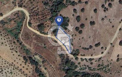 Muğla/Menteşe Çatakbağyakada 929 M2 Satılık Tarla 