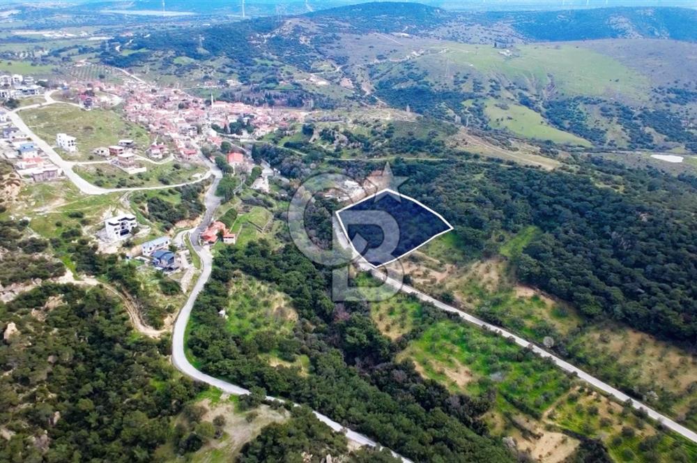 ALİAĞA AŞAĞI ŞAKRANDA YOLA SIFIR 5.700 m² ZEYTİNLİK