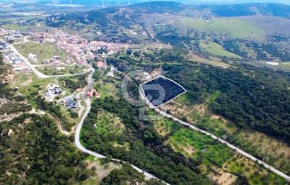 ALİAĞA AŞAĞI ŞAKRANDA YOLA SIFIR 5.700 m² ZEYTİNLİK