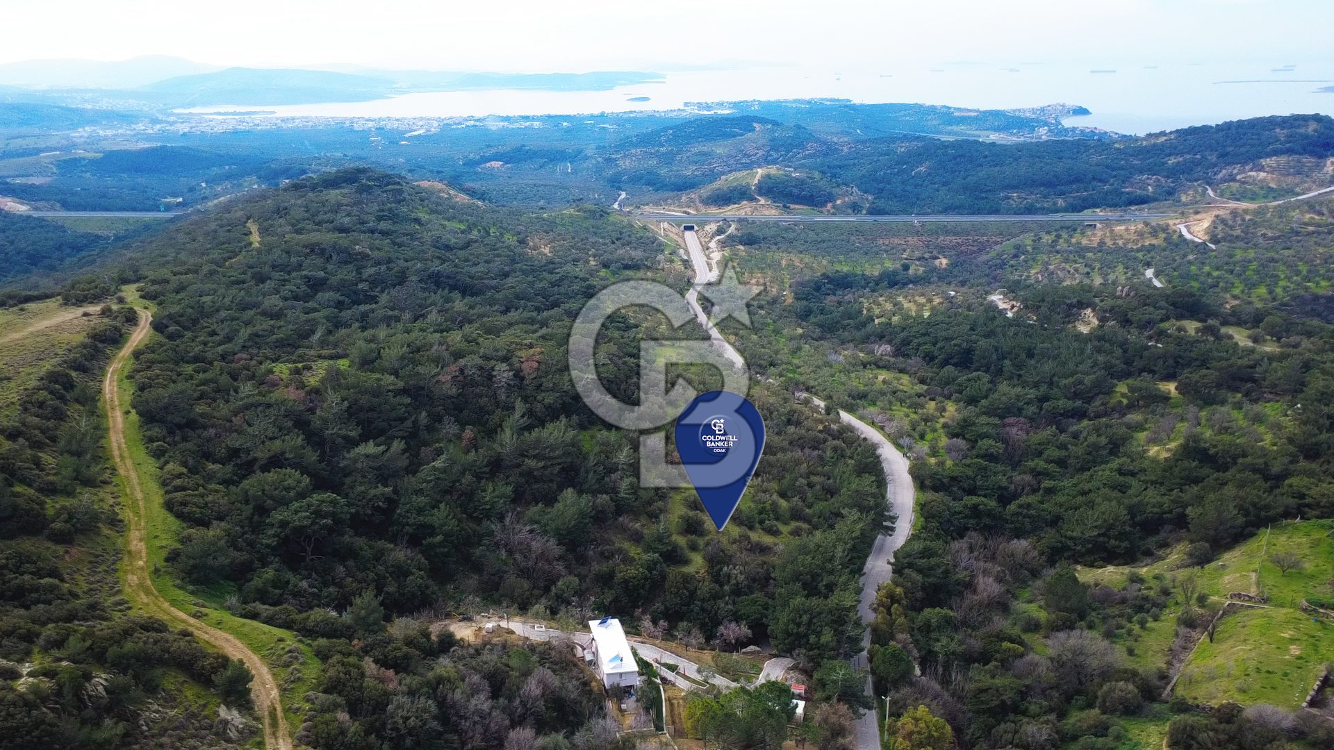 ALİAĞA AŞAĞI ŞAKRANDA YOLA SIFIR 5.700 m² ZEYTİNLİK