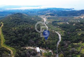 ALİAĞA AŞAĞI ŞAKRANDA YOLA SIFIR 5.700 m² ZEYTİNLİK - 4 - 335879