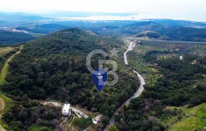 ALİAĞA AŞAĞI ŞAKRANDA YOLA SIFIR 5.700 m² ZEYTİNLİK