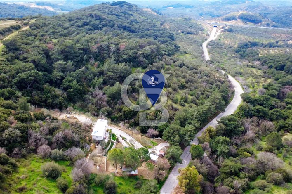 ALİAĞA AŞAĞI ŞAKRANDA YOLA SIFIR 5.700 m² ZEYTİNLİK