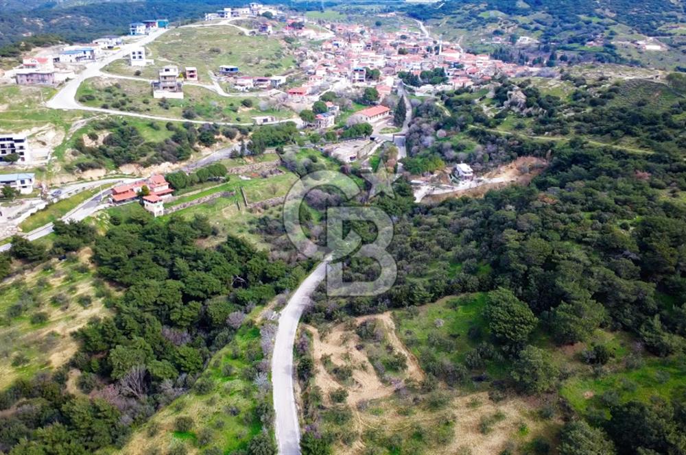 ALİAĞA AŞAĞI ŞAKRANDA YOLA SIFIR 5.700 m² ZEYTİNLİK