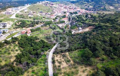 ALİAĞA AŞAĞI ŞAKRANDA YOLA SIFIR 5.700 m² ZEYTİNLİK