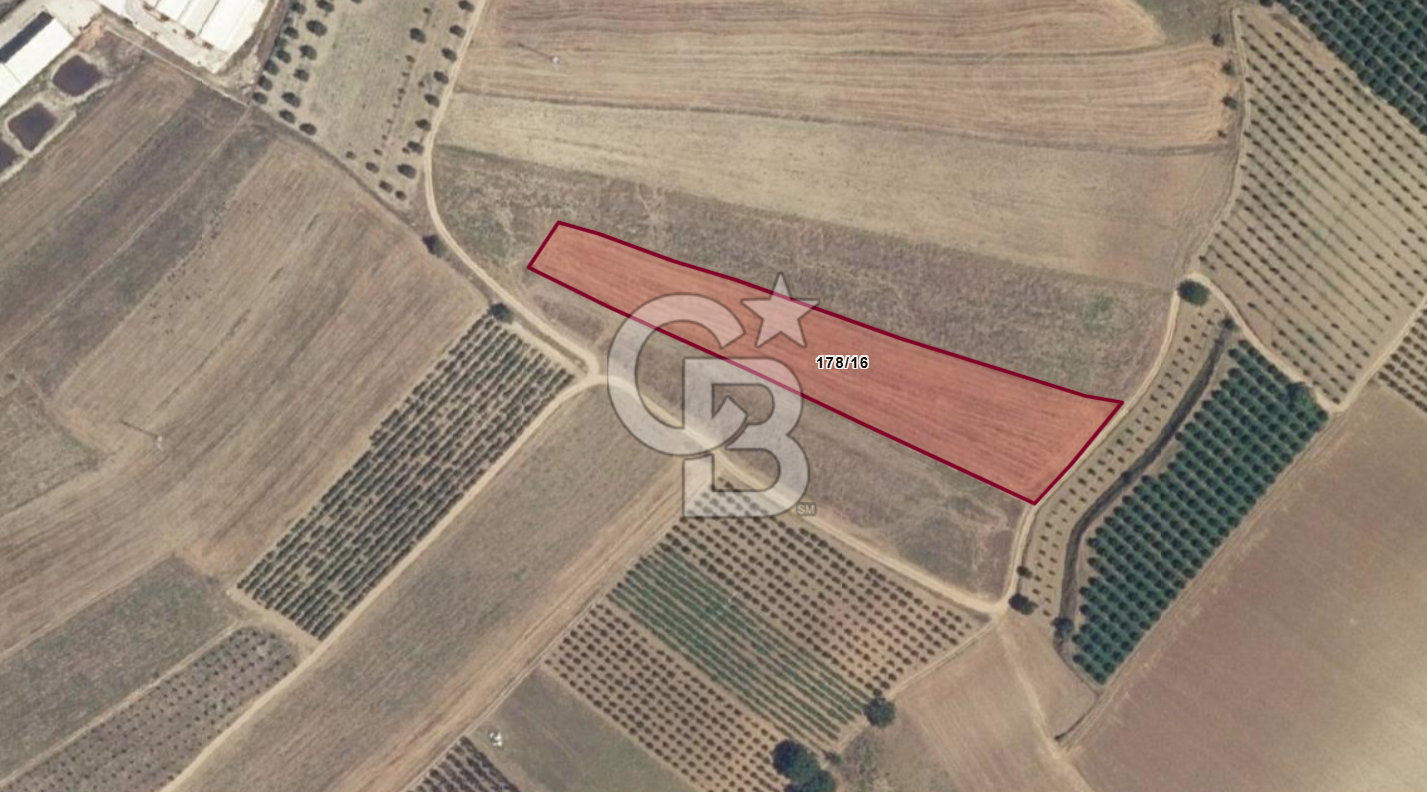BİLECİK OSMANELİ DÜZMEŞE KÖYÜ YOLA YAKIN 6.583 m2 TEK TAPU TARLA