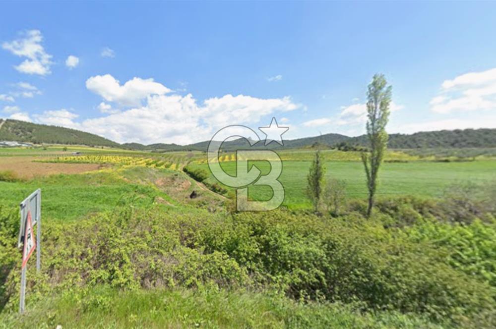 BİLECİK OSMANELİ DÜZMEŞE KÖYÜ YOLA YAKIN 6.583 m2 TEK TAPU TARLA