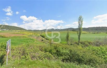 BİLECİK OSMANELİ DÜZMEŞE KÖYÜ YOLA YAKIN 6.583 m2 TEK TAPU TARLA