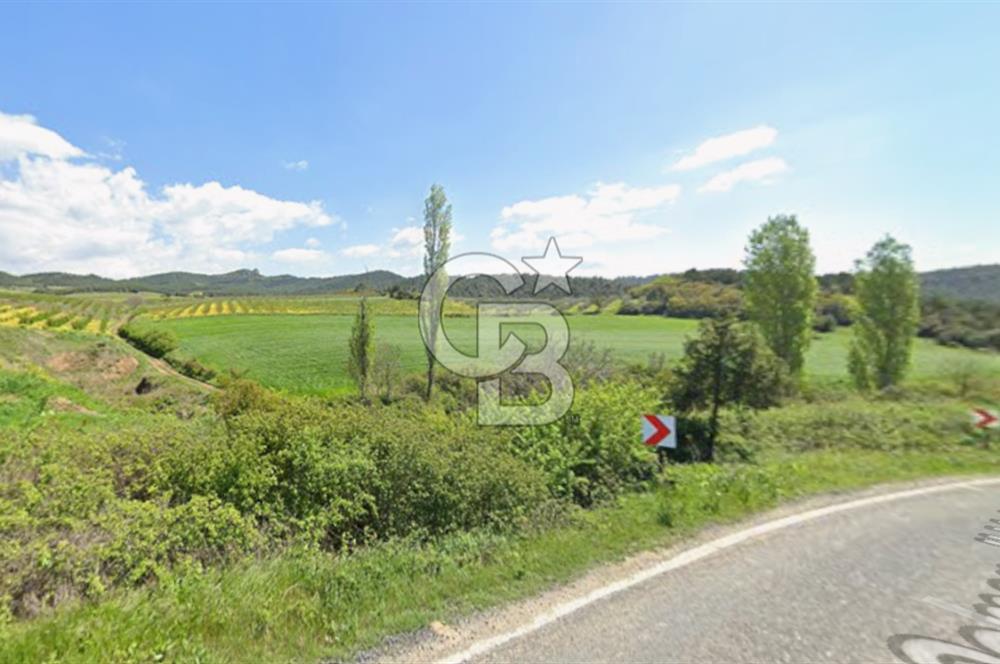 BİLECİK OSMANELİ DÜZMEŞE KÖYÜ YOLA YAKIN 6.583 m2 TEK TAPU TARLA