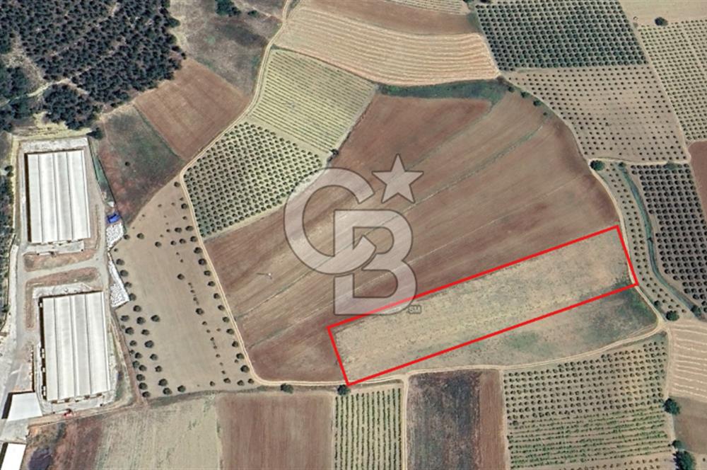 BİLECİK OSMANELİ DÜZMEŞE KÖYÜ YOLA YAKIN 6.583 m2 TEK TAPU TARLA