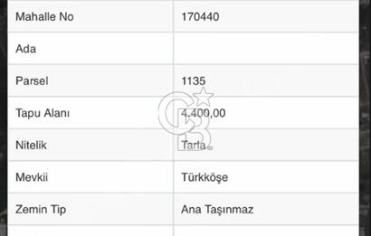 İstanbul Arnavutköy taşolukta satılık bahçe ve yatırımlık arsa