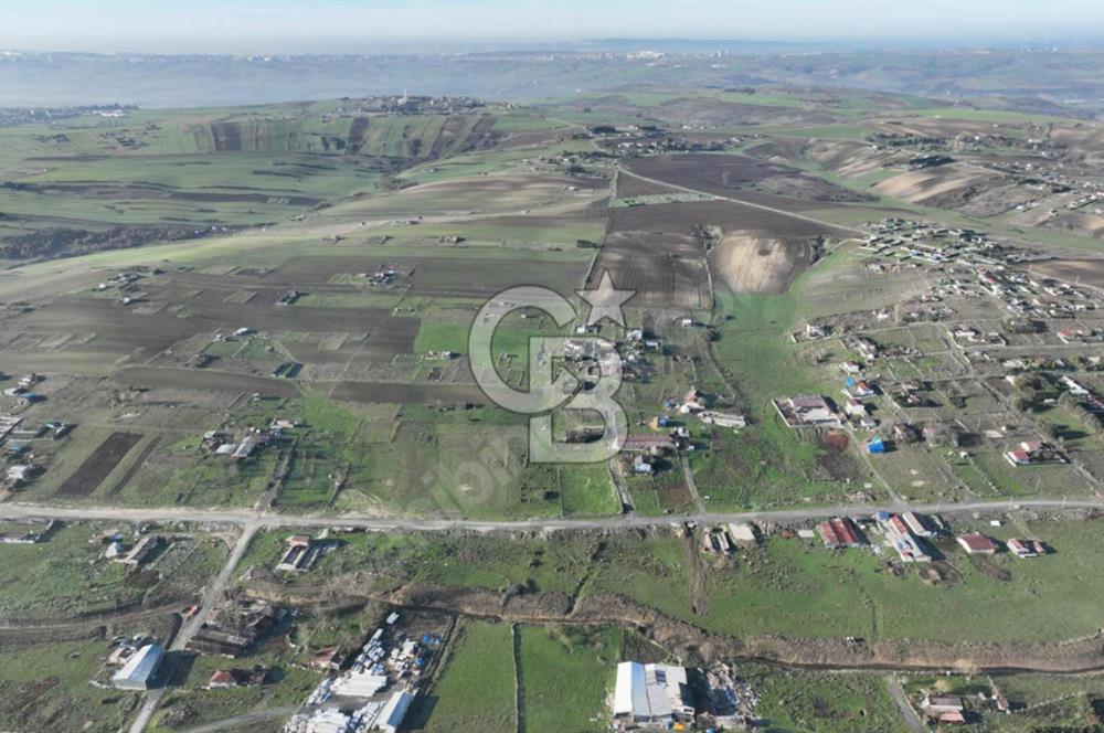 İstanbul Arnavutköy taşolukta satılık bahçe ve yatırımlık arsa