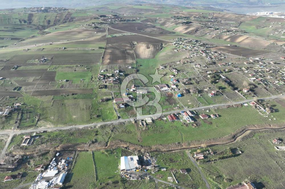 İstanbul Arnavutköy taşolukta satılık bahçe ve yatırımlık arsa