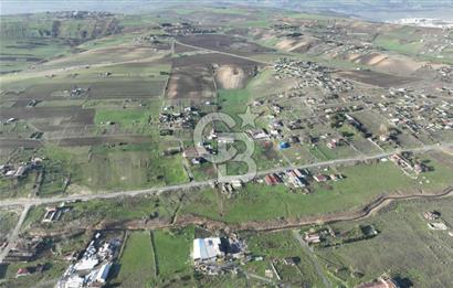 İstanbul Arnavutköy taşolukta satılık bahçe ve yatırımlık arsa