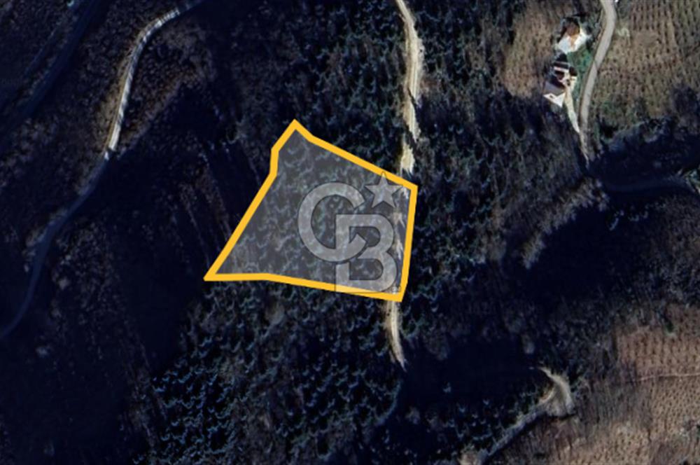 ORTAHİSAR TOSKÖY'DE YATIRIMLIK & TEŞVİK POTANSİYELLİ FIRSAT ARSA