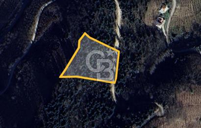 ORTAHİSAR TOSKÖY'DE YATIRIMLIK & TEŞVİK POTANSİYELLİ FIRSAT ARSA