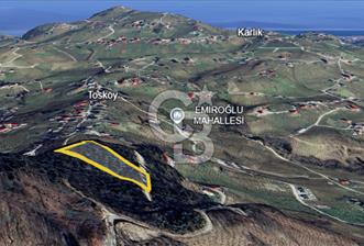 ORTAHİSAR TOSKÖY'DE YATIRIMLIK & TEŞVİK POTANSİYELLİ FIRSAT ARSA - 8 - 335916