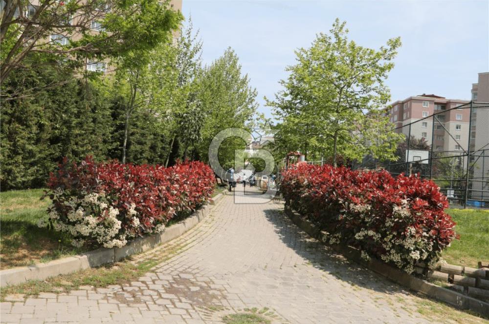 Çekmeköy Mimar Sinan Mah Nilüfer Sok 2+1 Kiralık Daire