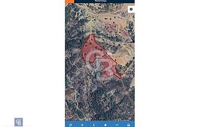 MANİSA DEMİRCİ'DE SATILIK TEK TAPU TARLA