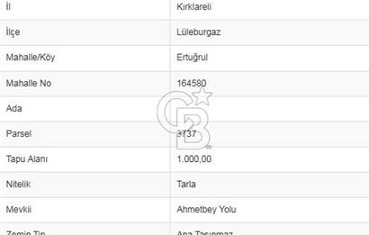LÜLEBURGAZ ERTUĞRULDA ANA YOLA YAKIN TARLA