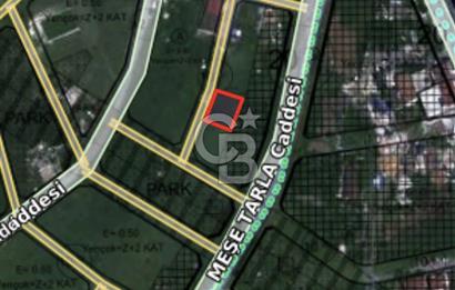 TAŞOLUK'DA KESİNTİLERİ YAPILMIŞ 1/2 165M² SATILIK ARSA