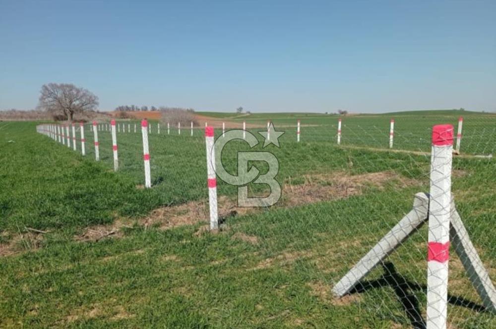 LÜLEBURGAZ ERTUĞRULDA ANA YOLA YAKIN TARLA