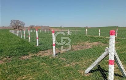 LÜLEBURGAZ ERTUĞRULDA ANA YOLA YAKIN TARLA