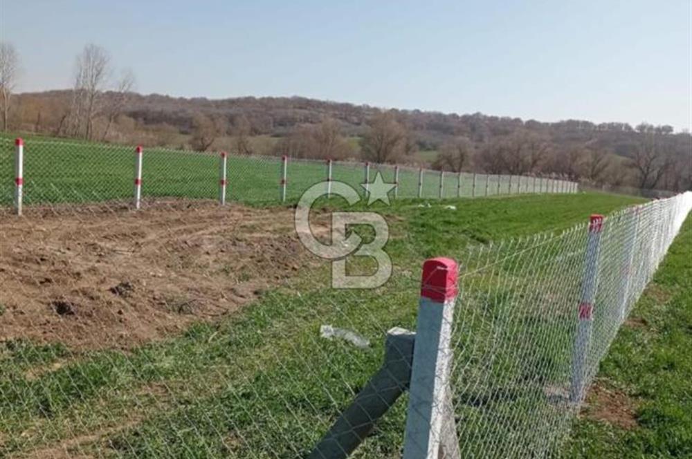 LÜLEBURGAZ ERTUĞRULDA ANA YOLA YAKIN TARLA