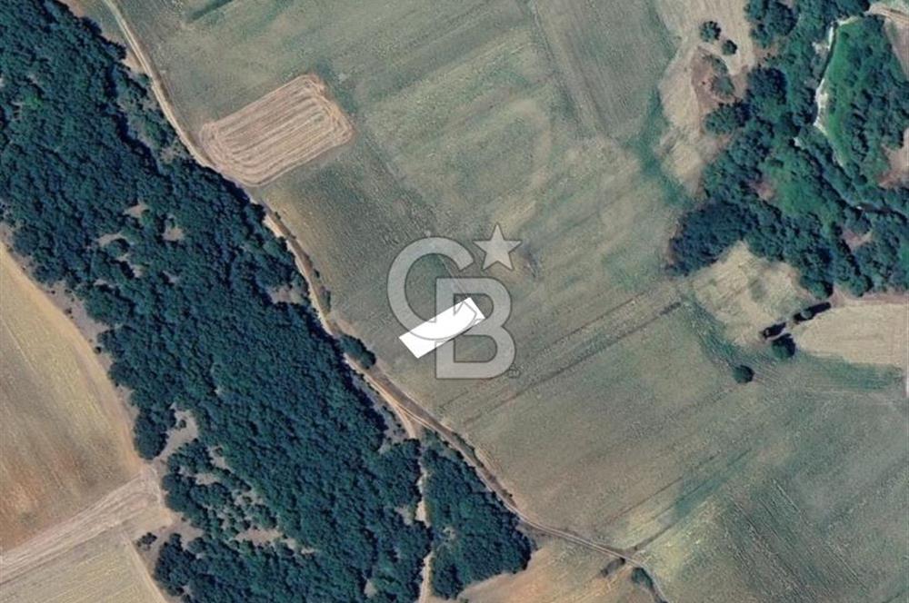 LÜLEBURGAZ ERTUĞRULDA GELİŞEN BÖLGEDE SATILIK TARLA