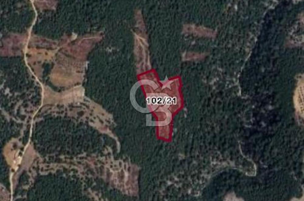 MUĞLA MENTEŞEDE 10 DÖNÜM TEK PARÇA TARLA