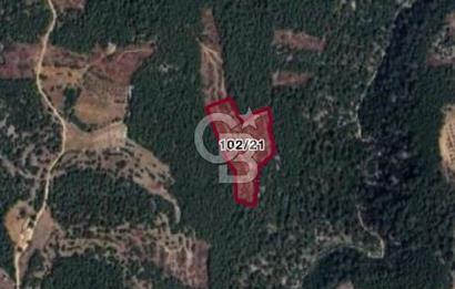 MUĞLA MENTEŞEDE 10 DÖNÜM TEK PARÇA TARLA