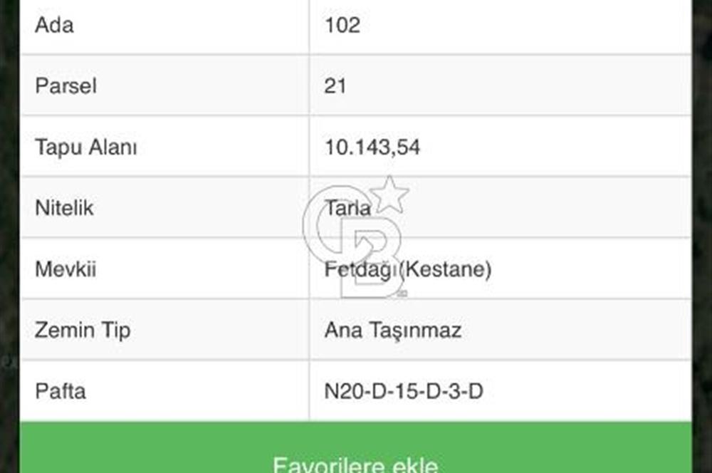 MUĞLA MENTEŞEDE 10 DÖNÜM TEK PARÇA TARLA