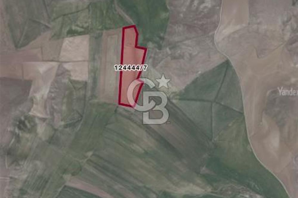 ANKARA/ GÖLBAŞI/ HOLOS'DA SATILIK TARLA