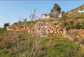 Seferihisar Orhanlı'da Satılık Zeytinlik - 8 - 336025