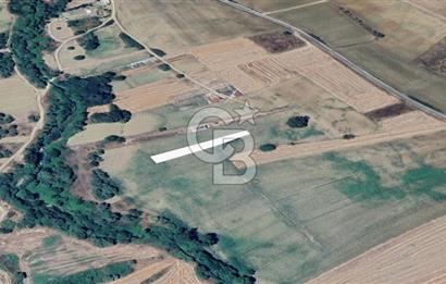 LÜLEBURGAZ ERTUĞRULDA ANA YOLA YAKIN TARLA