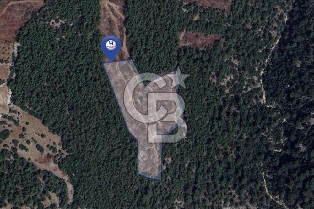 MUĞLA MENTEŞEDE 10 DÖNÜM TEK PARÇA TARLA